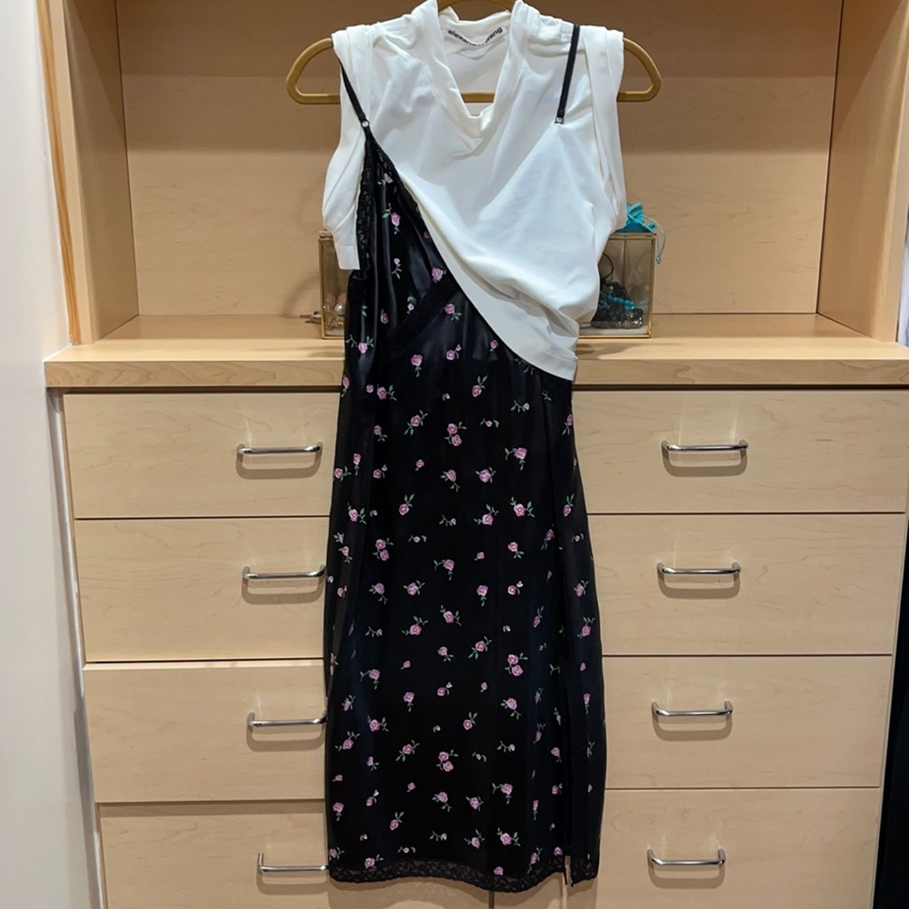 Alexander Wang dress